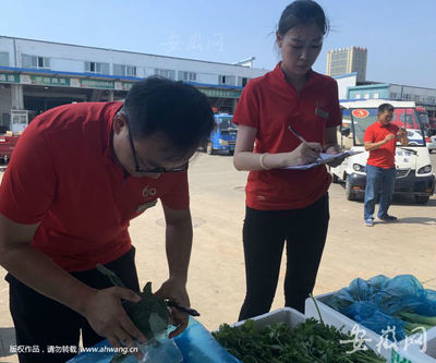 從田間到餐桌 食用農產品批發市場的多重安全保障關卡