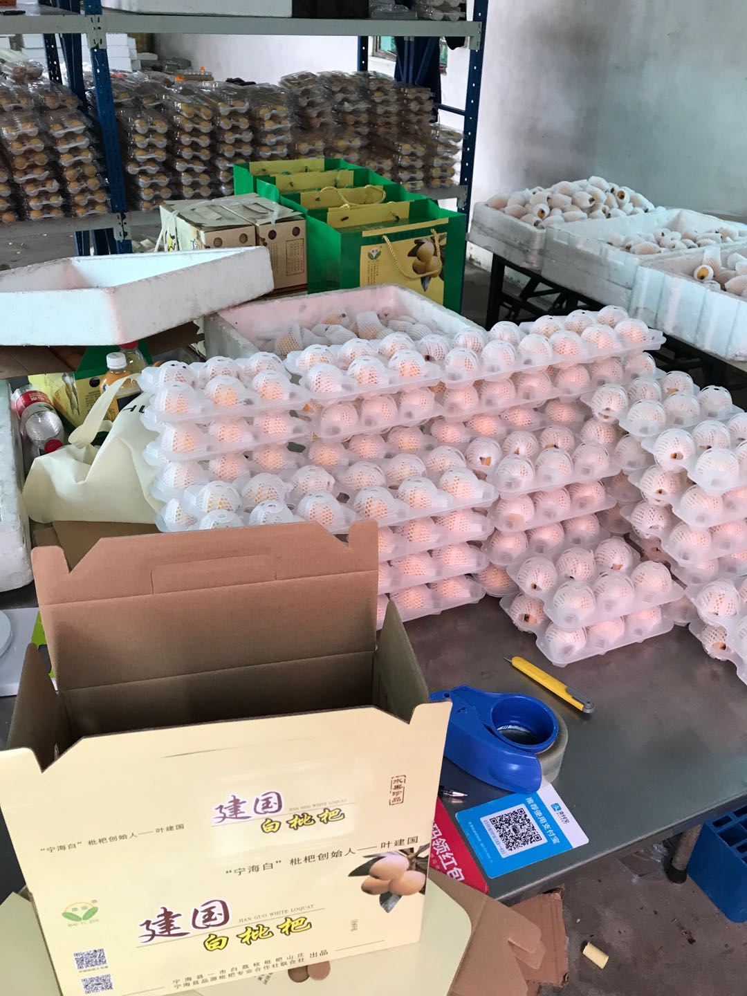 寧海白枇杷 當(dāng)季鮮果，獨(dú)特風(fēng)味，盡享初夏清甜