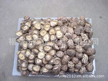 福鼎食用菌產業 阿里巴巴平臺上的優質批發與供應樞紐