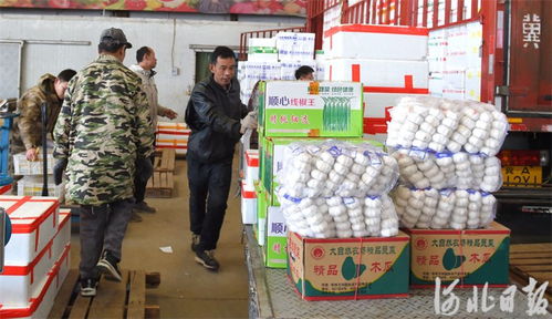 河北邢臺 筑牢節日市場供應防線，守護食用農產品批發安全